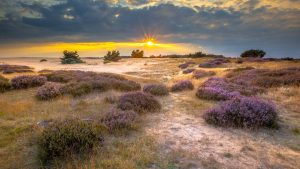 Klimatet i De Hoge Veluwe (nationalparken), Nederländerna